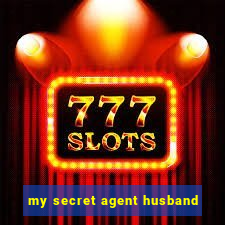 my secret agent husband